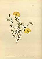  no thumbnail available