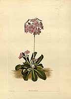  no thumbnail available