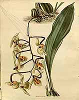  no thumbnail available