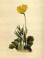  no thumbnail available