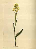  no thumbnail available