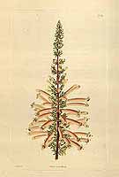  no thumbnail available