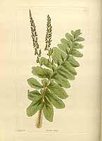  no thumbnail available