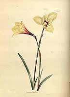  no thumbnail available