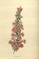  no thumbnail available