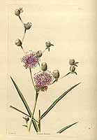  no thumbnail available