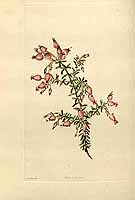  no thumbnail available