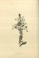  no thumbnail available