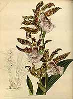  no thumbnail available