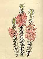  no thumbnail available