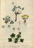  no thumbnail available