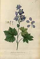  no thumbnail available