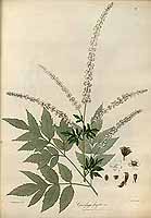  no thumbnail available