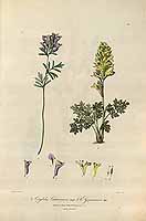  no thumbnail available