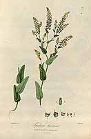  no thumbnail available