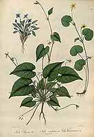  no thumbnail available