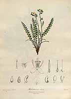  no thumbnail available