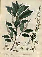  no thumbnail available