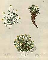  no thumbnail available