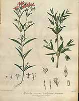  no thumbnail available