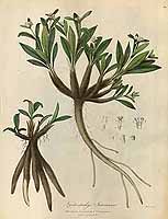  no thumbnail available