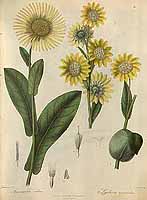  no thumbnail available