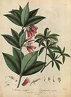  no thumbnail available