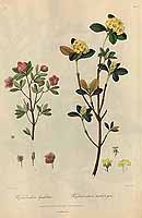  no thumbnail available