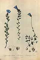  no thumbnail available