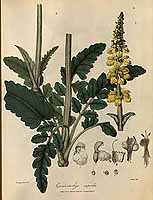  no thumbnail available