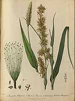  no thumbnail available