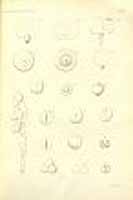  no thumbnail available