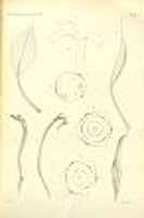  no thumbnail available