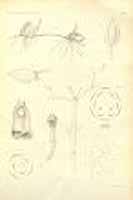  no thumbnail available