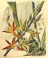  no thumbnail available