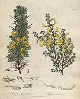  no thumbnail available