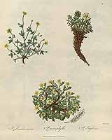  no thumbnail available