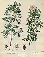  no thumbnail available