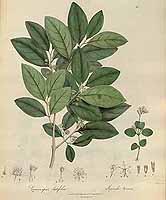  no thumbnail available