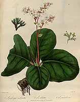  no thumbnail available