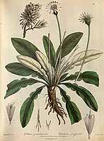  no thumbnail available