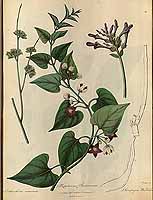  no thumbnail available