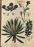  no thumbnail available