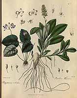  no thumbnail available