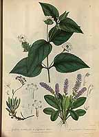  no thumbnail available