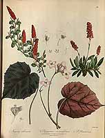  no thumbnail available