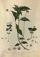  no thumbnail available