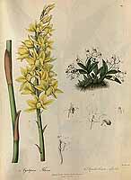  no thumbnail available