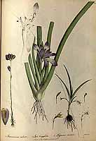  no thumbnail available