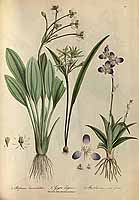  no thumbnail available